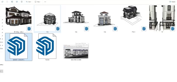 Mẫu biệt thự tân cổ điển sketchup chất lượng 10×20